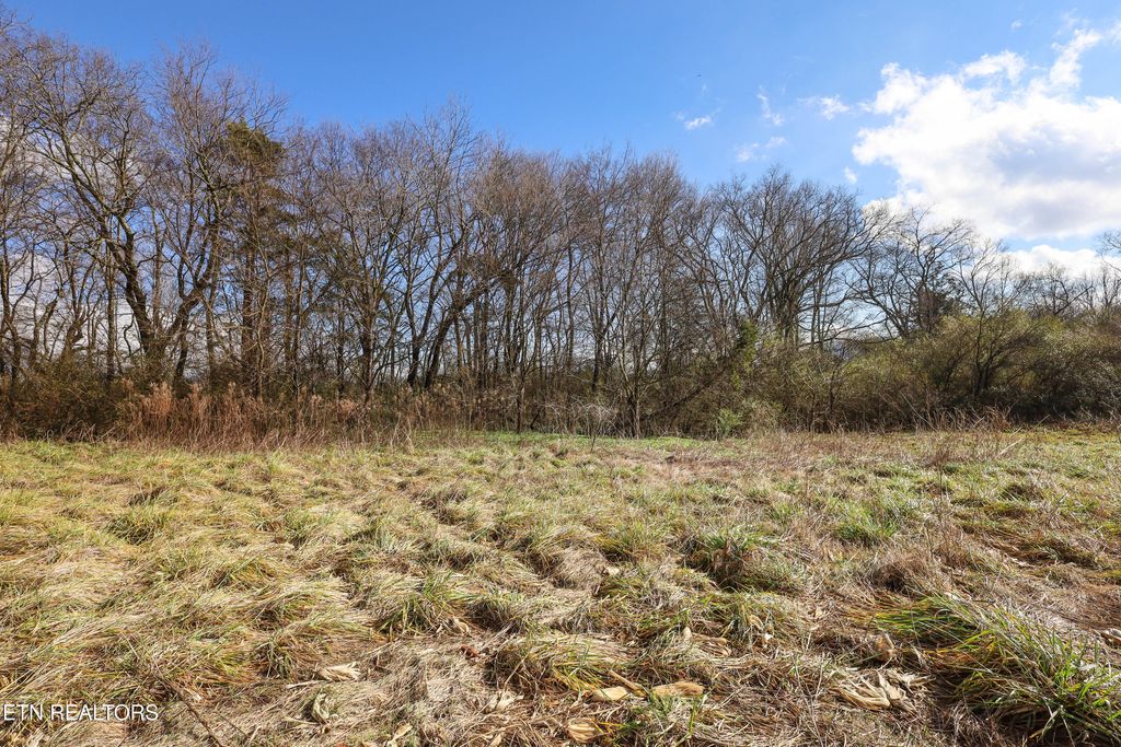 Photo of 0 Gen Carl W Stiner Hwy, LaFollette, TN 37766 (MLS # 1286375)