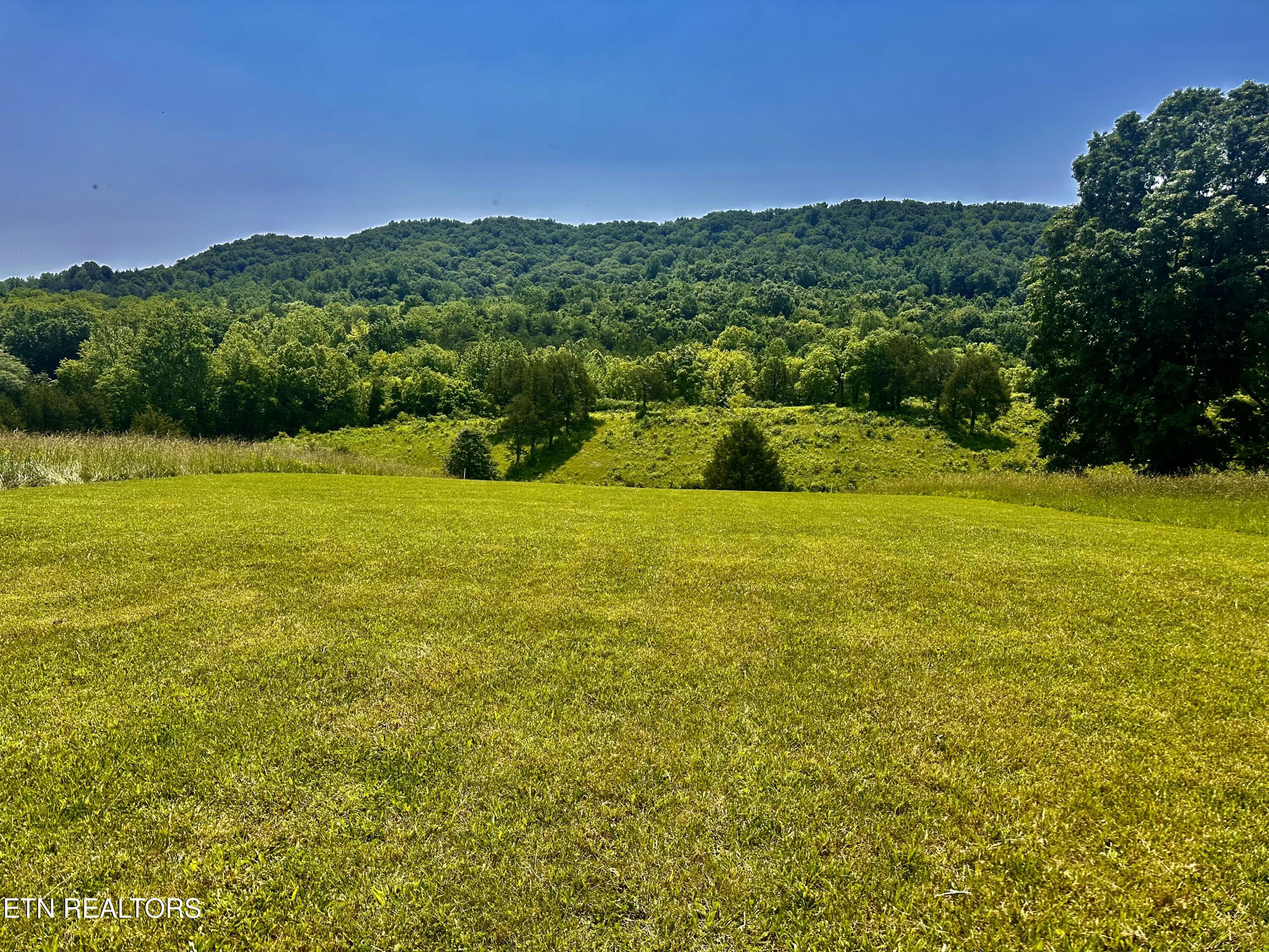 Waterfront Knoll