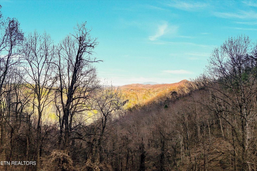 Photo of 67 Balsam Slopes Rd, Sevierville, TN 37862 (MLS # 1247692)