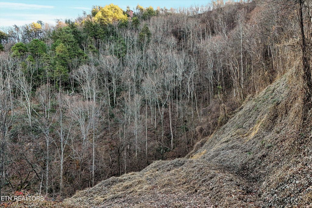 Photo of 67 Balsam Slopes Rd, Sevierville, TN 37862 (MLS # 1247692)