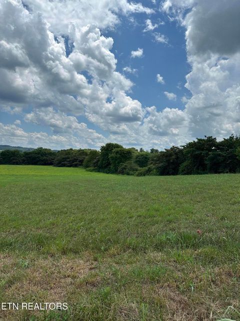 Photo of Sparrow Lane, Speedwell, TN 37870 (MLS # 1333358)