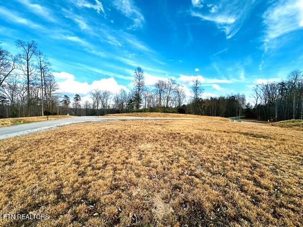 Photo of Poplar Drive #58, LaFollette, TN 37766 (MLS # 1331882)