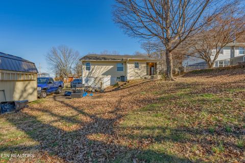 Tiny photo for 2315 Chillicothe St, Knoxville, TN 37921 (MLS # 1327151)