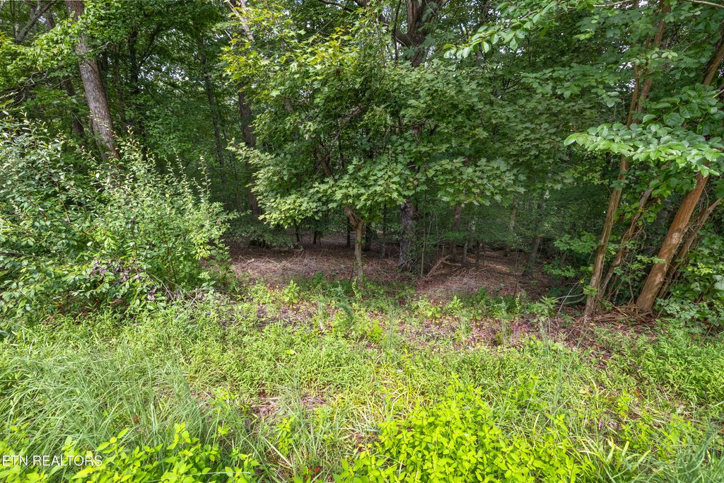 Photo of 12 Hawthorn Place, Norris, TN 37828 (MLS # 1313284)