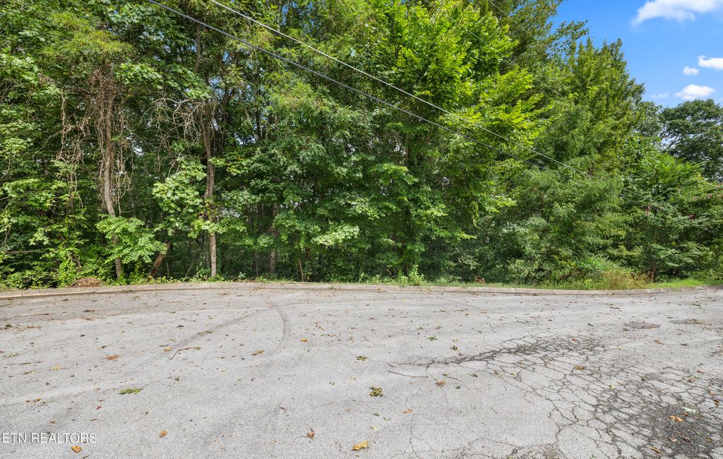 Photo of 12 Hawthorn Place, Norris, TN 37828 (MLS # 1313284)