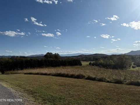 Tiny photo for 0 Heart Rd, Newport, TN 37821 (MLS # 1319810)