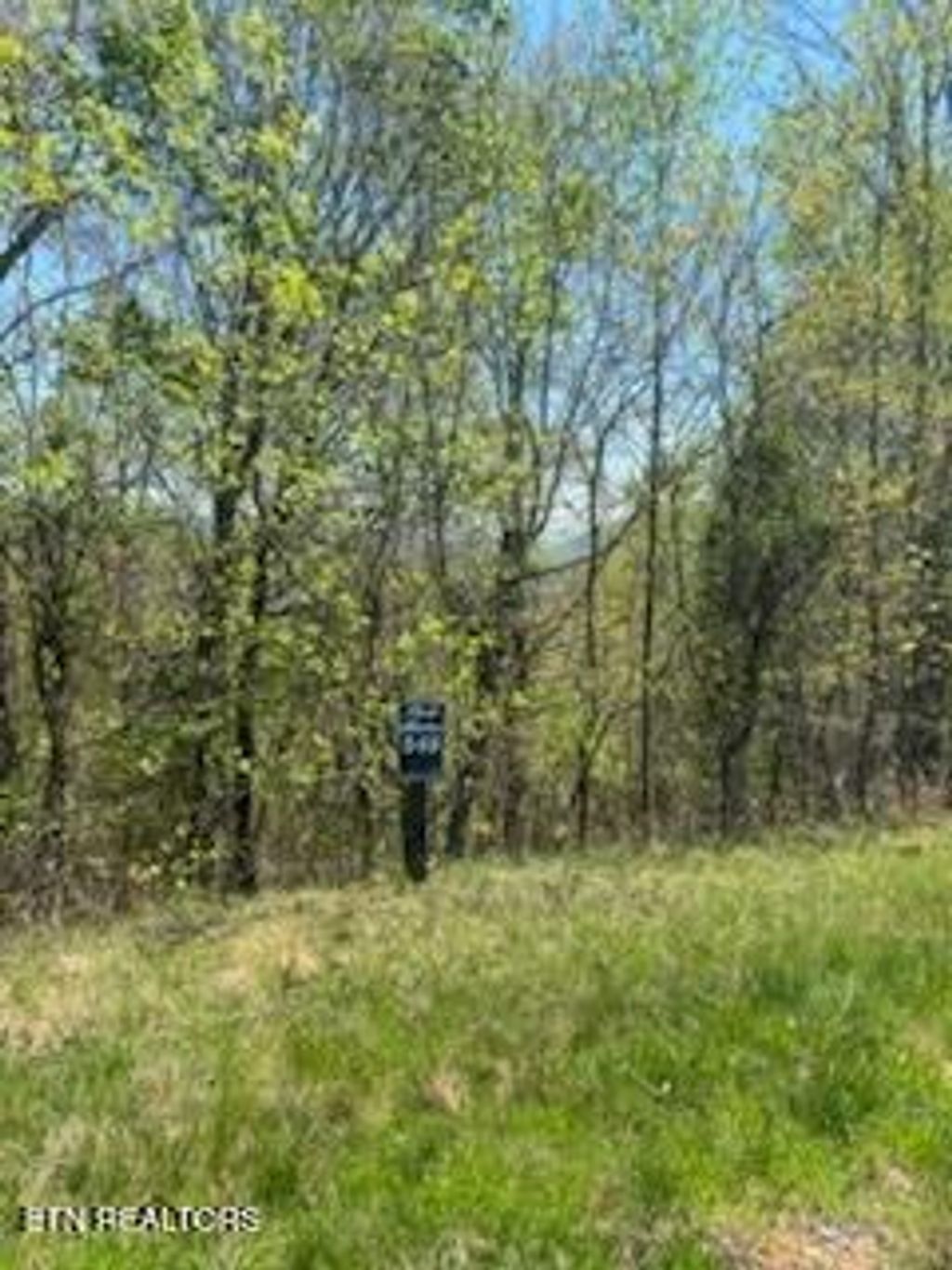 Photo of 548 Marble Point Way, New Tazewell, TN 37825 (MLS # 1336853)