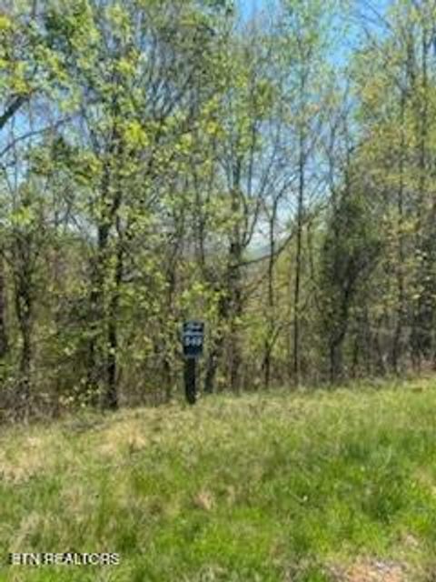 Photo of 548 Marble Point Way, New Tazewell, TN 37825 (MLS # 1336853)