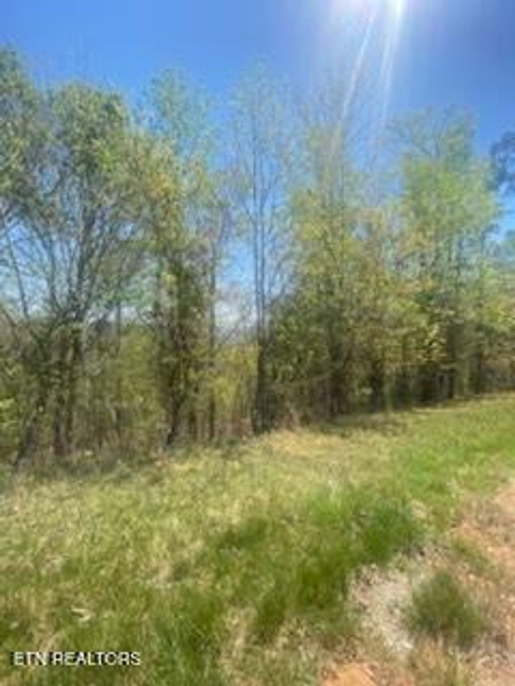 Photo of 548 Marble Point Way, New Tazewell, TN 37825 (MLS # 1336853)