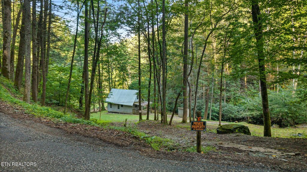 Photo of 1899 Cane Creek Mountain Road Rd, Tellico Plains, TN 37385 (MLS # 1311288)