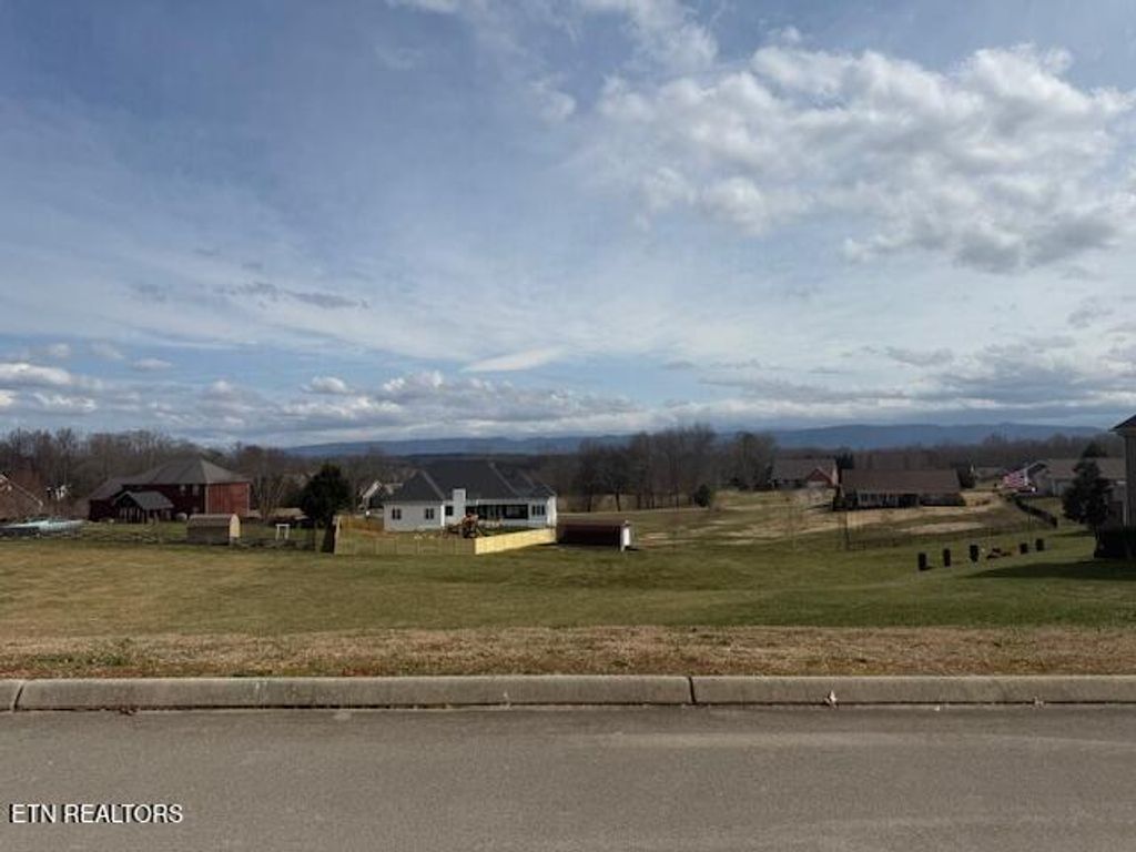 Photo of 1166 Houston Springs Rd, Greenback, TN 37742 (MLS # 1292520)