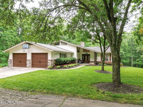 170 Old Moores Gap Heiskell TN 37754