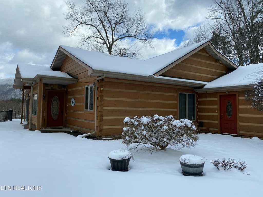 Photo of 427 Gold Rd, Cosby, TN 37722 (MLS # 1335304)