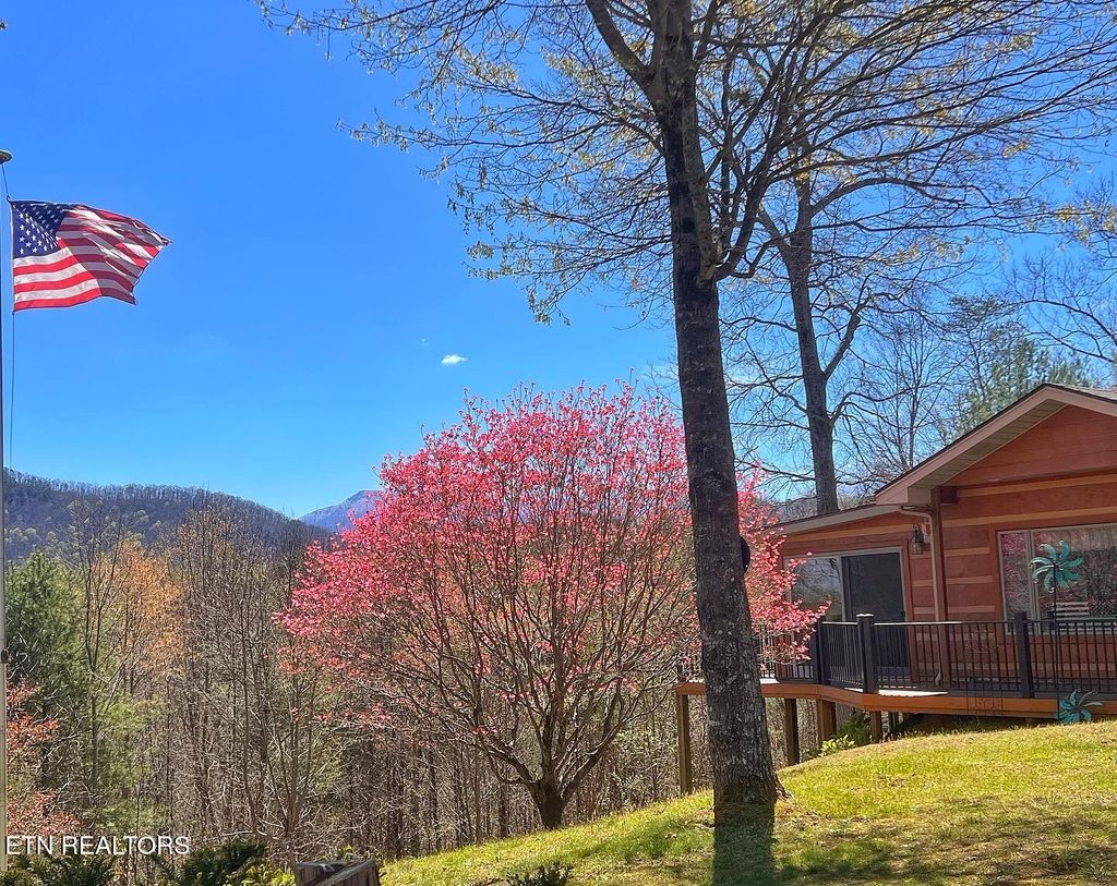 Photo of 427 Gold Rd, Cosby, TN 37722 (MLS # 1335304)