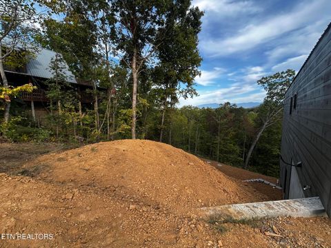 Tiny photo for 1863 Bluff Ridge Rd, Sevierville, TN 37876 (MLS # 1317610)