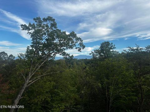 Tiny photo for 1863 Bluff Ridge Rd, Sevierville, TN 37876 (MLS # 1317610)