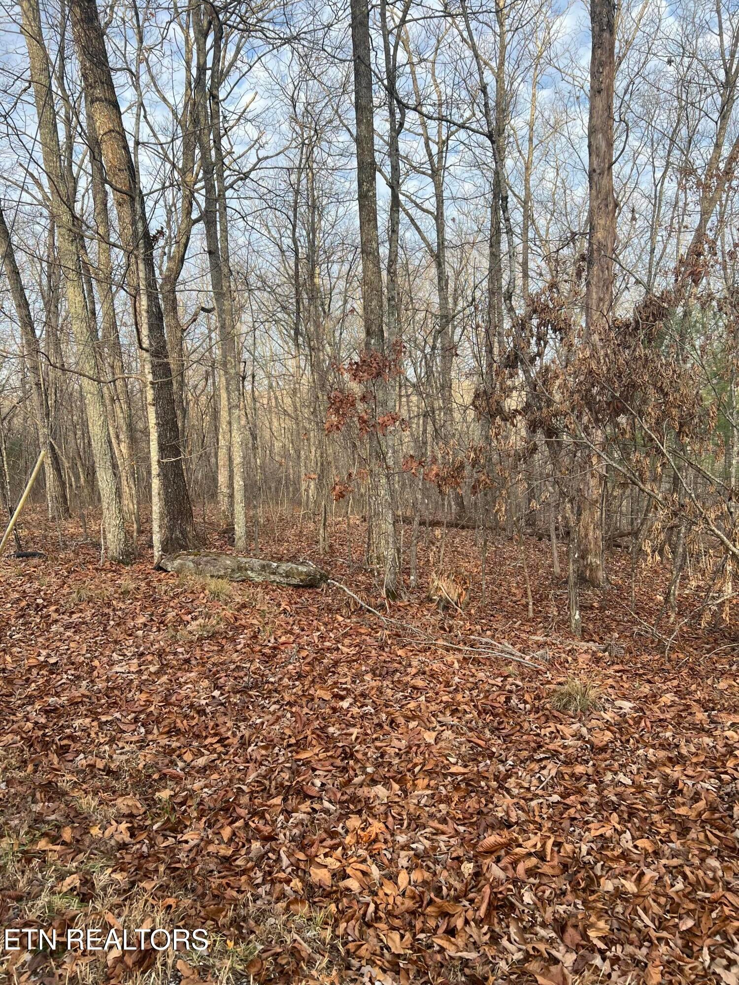 240 Albemarle Circle