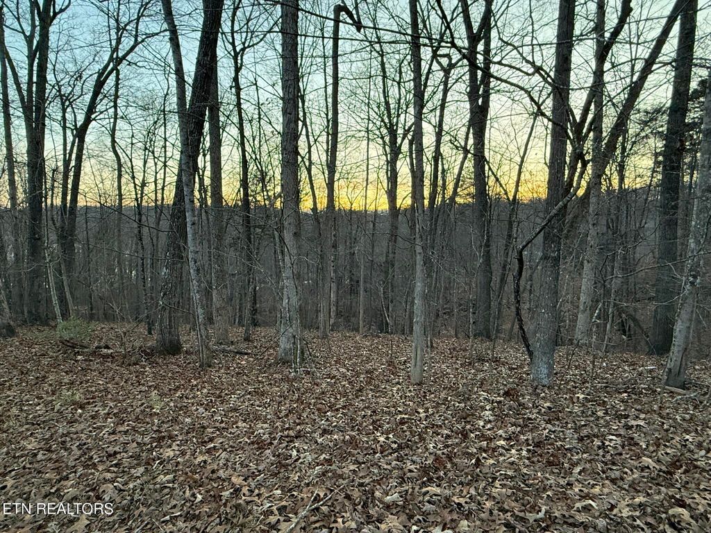 Photo of Big Creek Rd, LaFollette, TN 37766 (MLS # 1324237)