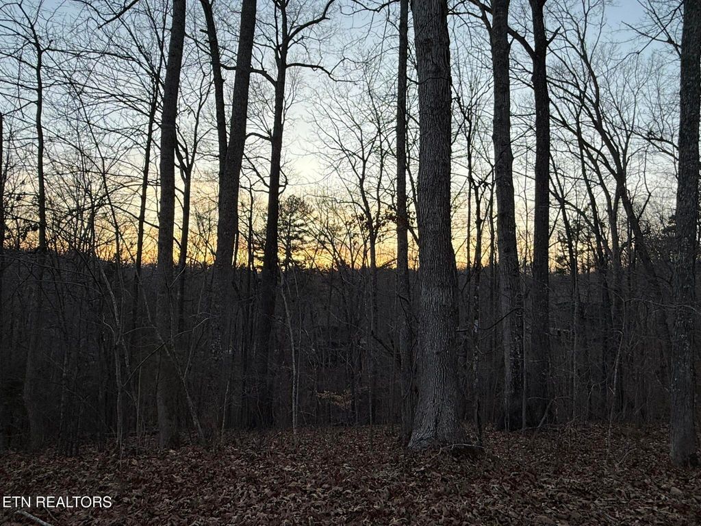 Photo of Big Creek Rd, LaFollette, TN 37766 (MLS # 1324237)