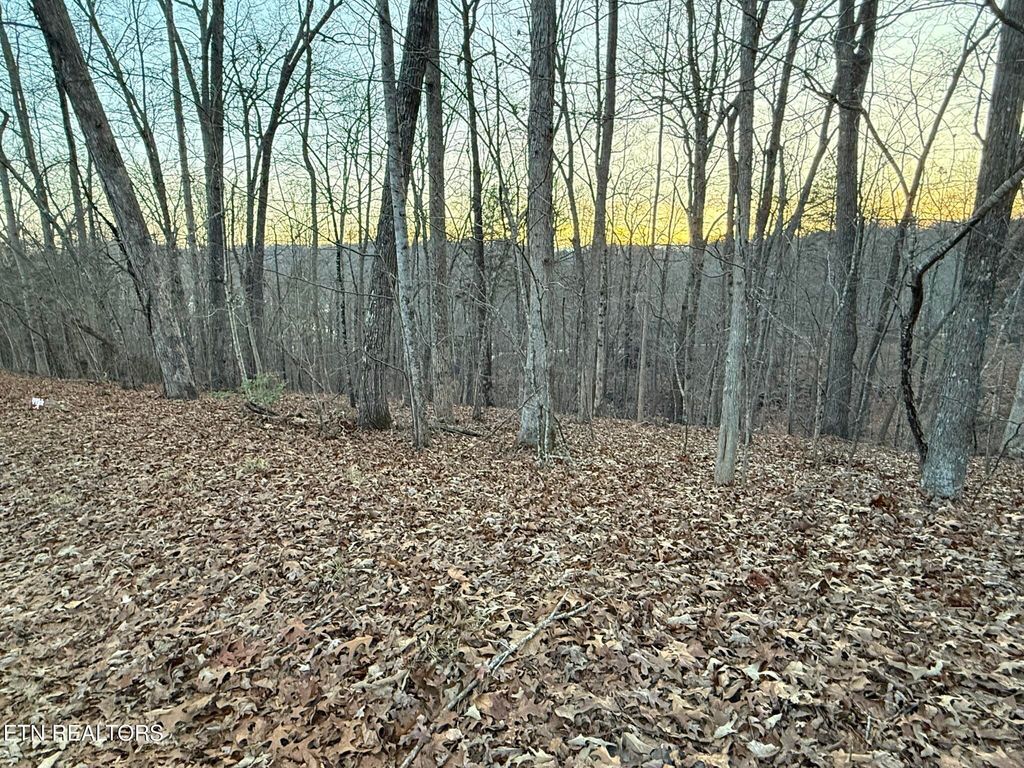 Photo of Big Creek Rd, LaFollette, TN 37766 (MLS # 1324237)