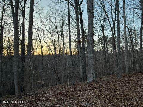 Photo of Big Creek Rd, LaFollette, TN 37766 (MLS # 1324237)