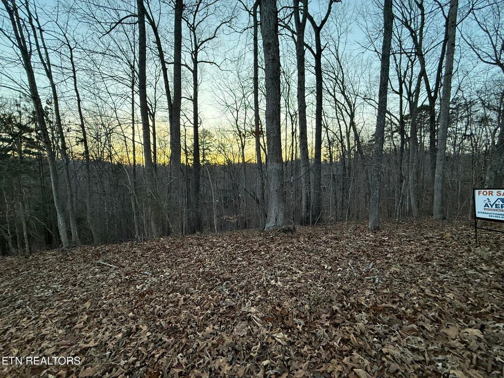 Photo of Big Creek Rd, LaFollette, TN 37766 (MLS # 1324237)