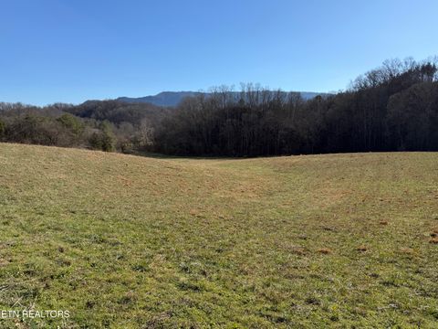 Photo of 0 Dupont, Seymour, TN 37865 (MLS # 1325545)