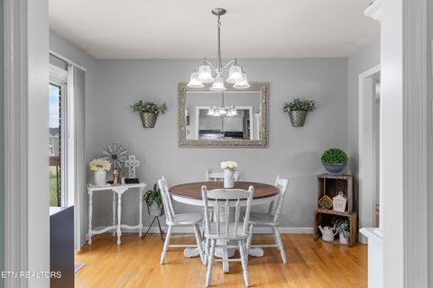 Tiny photo for 625 W Grinnell Circle, Knoxville, TN 37924 (MLS # 1342224)
