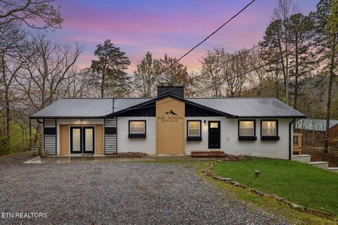2069 Bluff Mountain Rd Sevierville TN 37876