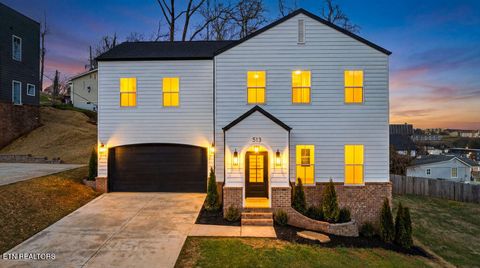 513 Yarnell Ave Knoxville TN 37920