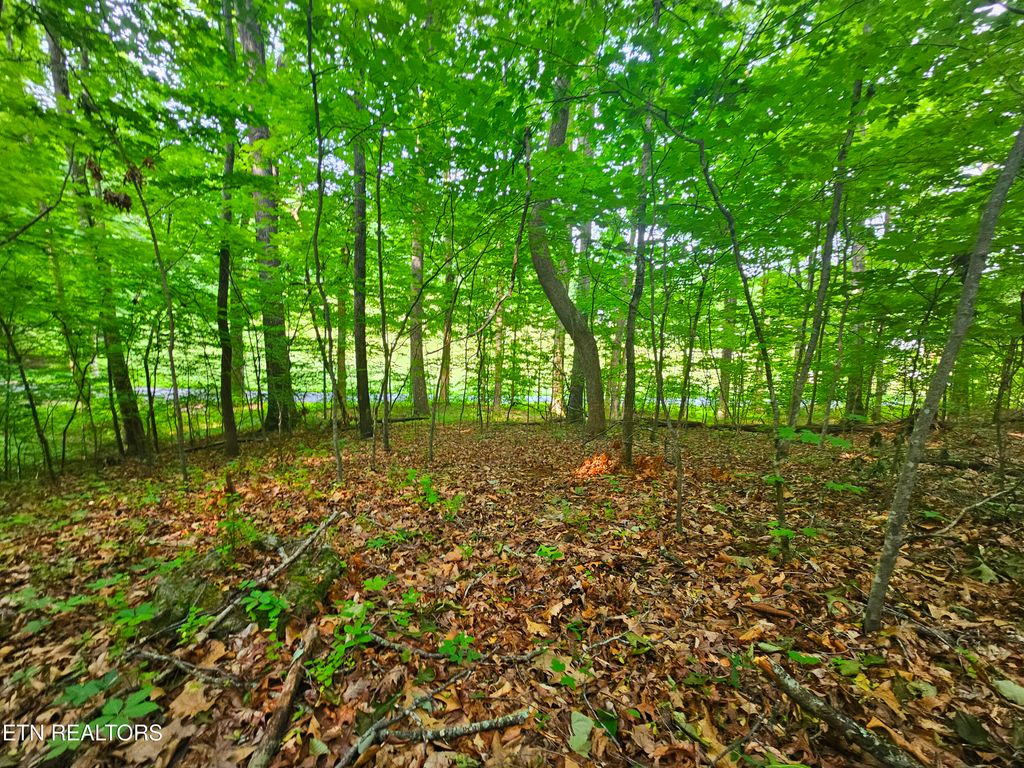 Photo of Cruze Rd, Powell, TN 37849 (MLS # 1303372)