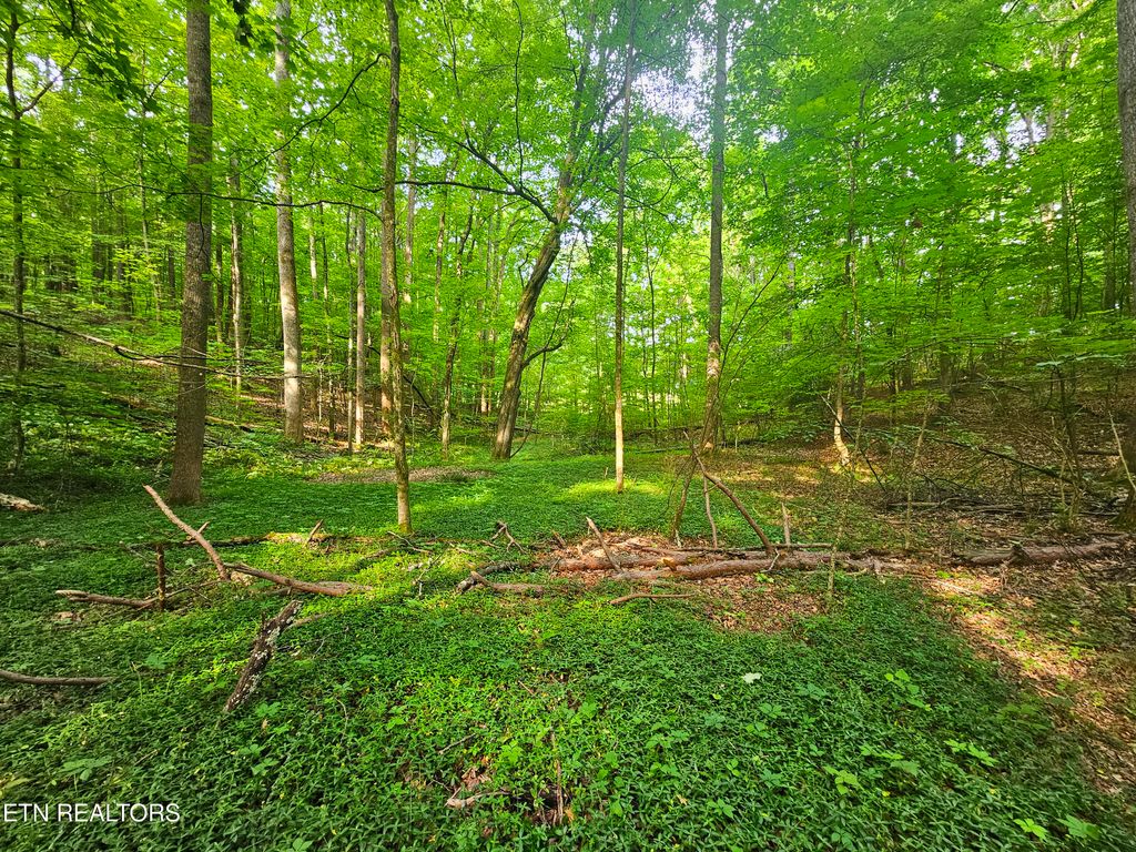 Photo of Cruze Rd, Powell, TN 37849 (MLS # 1303372)