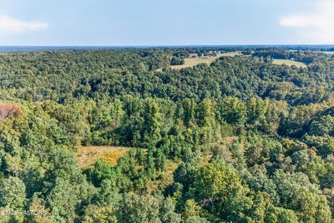 Tiny photo for 1475 Campground Rd, Clarkrange, TN 38553 (MLS # 1355740)