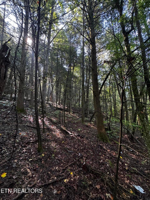 Tiny photo for 1475 Campground Rd, Clarkrange, TN 38553 (MLS # 1355740)