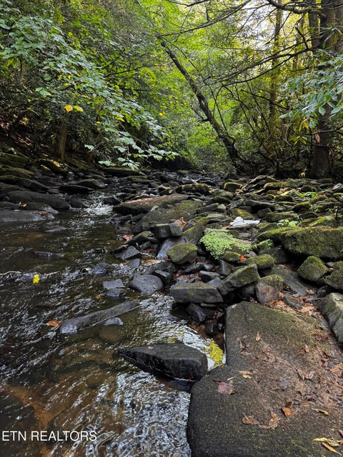 Tiny photo for 1475 Campground Rd, Clarkrange, TN 38553 (MLS # 1355740)