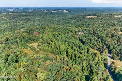 Tiny photo for 1475 Campground Rd, Clarkrange, TN 38553 (MLS # 1355740)