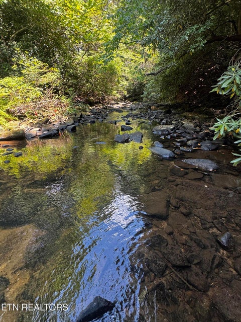 Tiny photo for 1475 Campground Rd, Clarkrange, TN 38553 (MLS # 1355740)