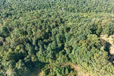 Tiny photo for 1475 Campground Rd, Clarkrange, TN 38553 (MLS # 1355740)