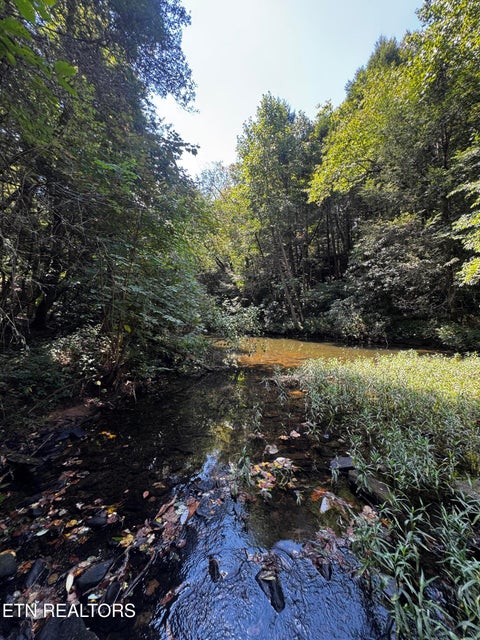 Tiny photo for 1475 Campground Rd, Clarkrange, TN 38553 (MLS # 1355740)