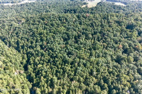 Tiny photo for 1475 Campground Rd, Clarkrange, TN 38553 (MLS # 1355740)
