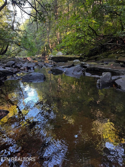 Tiny photo for 1475 Campground Rd, Clarkrange, TN 38553 (MLS # 1355740)