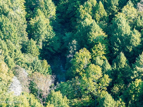 Tiny photo for 1475 Campground Rd, Clarkrange, TN 38553 (MLS # 1355740)
