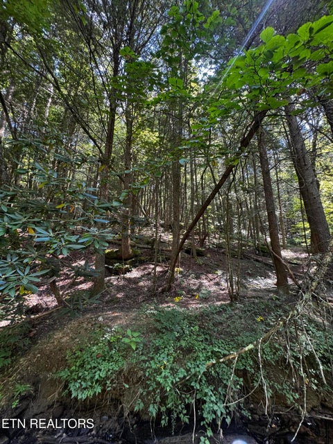 Tiny photo for 1475 Campground Rd, Clarkrange, TN 38553 (MLS # 1355740)
