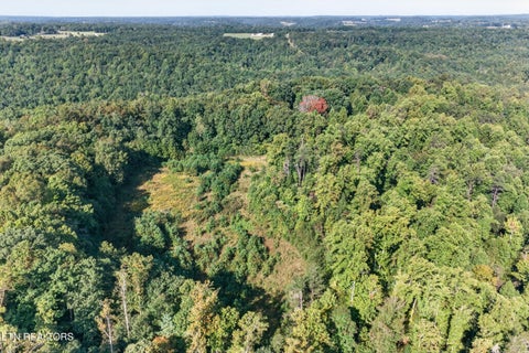 Tiny photo for 1475 Campground Rd, Clarkrange, TN 38553 (MLS # 1355740)