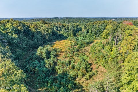 Tiny photo for 1475 Campground Rd, Clarkrange, TN 38553 (MLS # 1355740)