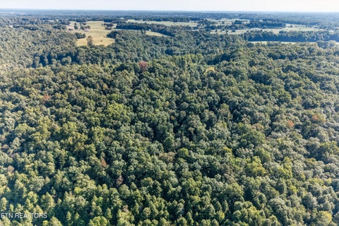 Tiny photo for 1475 Campground Rd, Clarkrange, TN 38553 (MLS # 1355740)