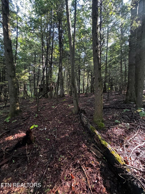 Tiny photo for 1475 Campground Rd, Clarkrange, TN 38553 (MLS # 1355740)