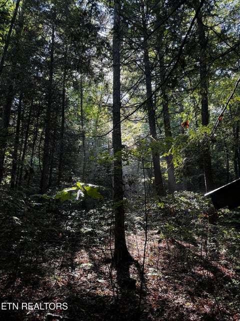 Tiny photo for 1475 Campground Rd, Clarkrange, TN 38553 (MLS # 1355740)