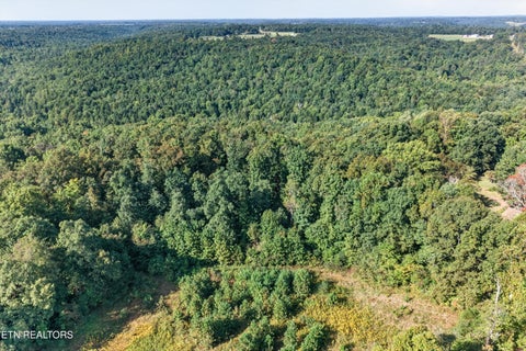 Tiny photo for 1475 Campground Rd, Clarkrange, TN 38553 (MLS # 1355740)