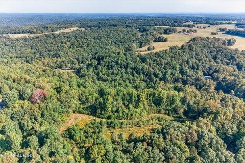 Tiny photo for 1475 Campground Rd, Clarkrange, TN 38553 (MLS # 1355740)